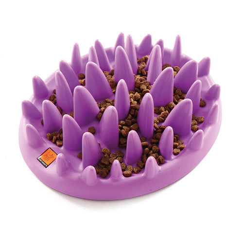 catch interactive cat feeder