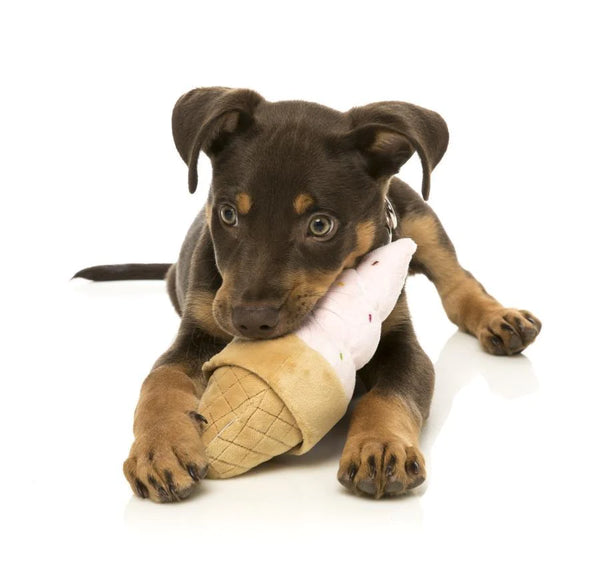 fuzzyard plush dog toy - ice cream