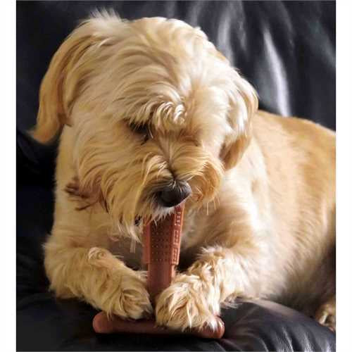bamboodles - t bone bamboo & nylon chew toy - beef