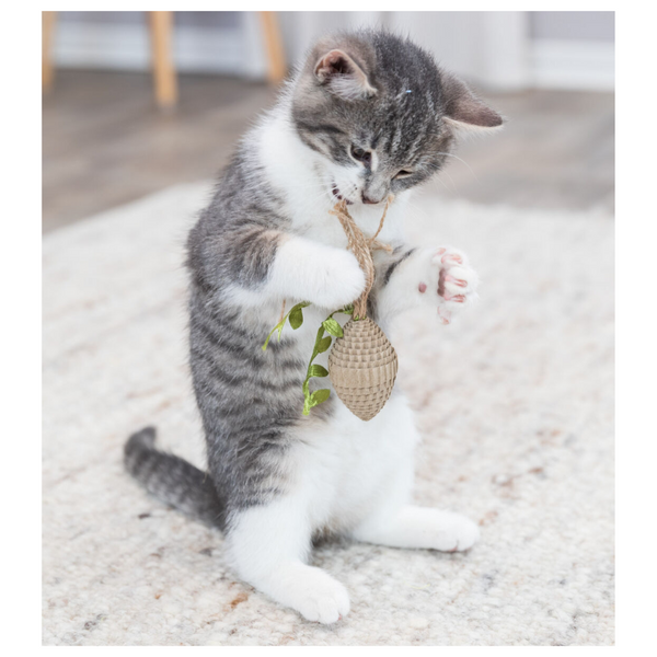 cone hemp cat toy with tassels