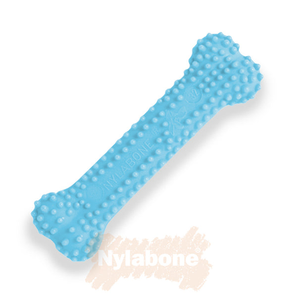 nylabone chicken puppy blue dental bone - xs