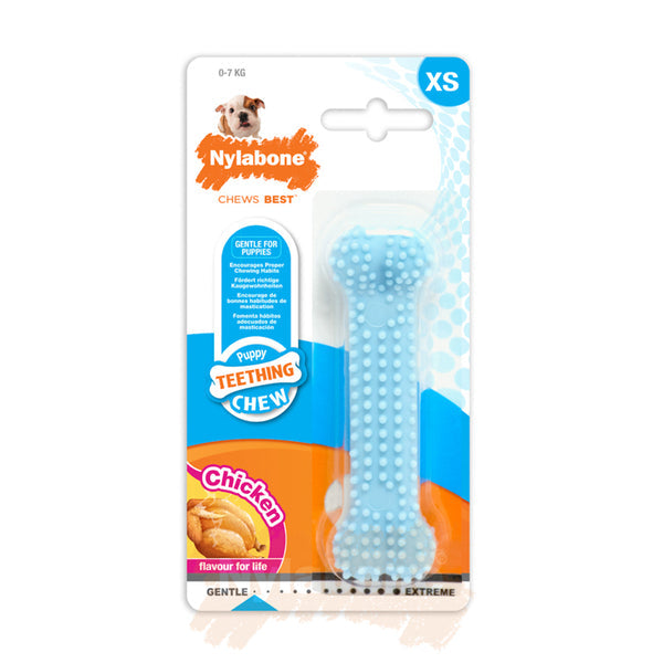 nylabone chicken puppy blue dental bone - xs