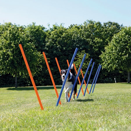 agility weave poles 12 115cm high