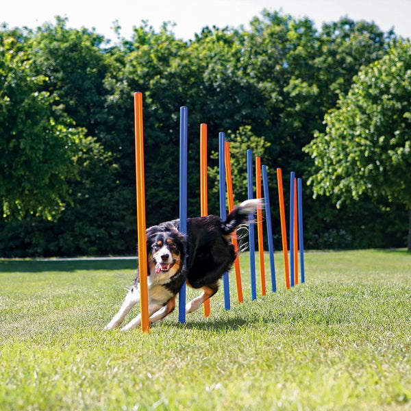 agility weave poles 12 115cm high