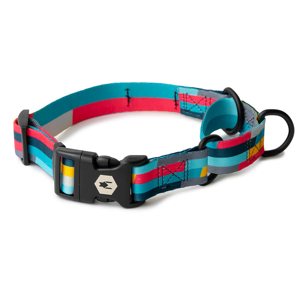 MixTape MARTINGALE DOG COLLAR