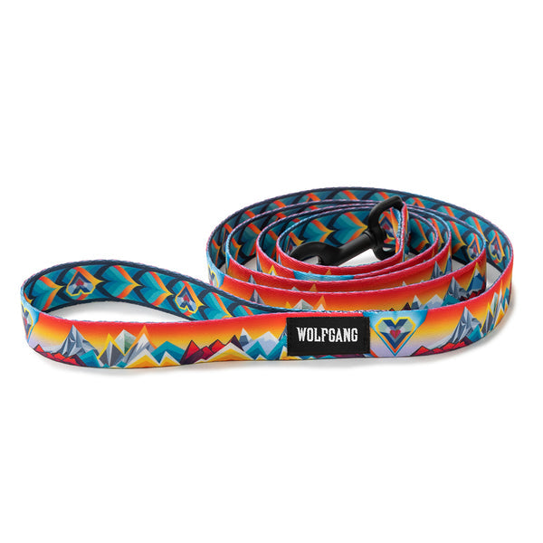 MountainVibes Dog Leash