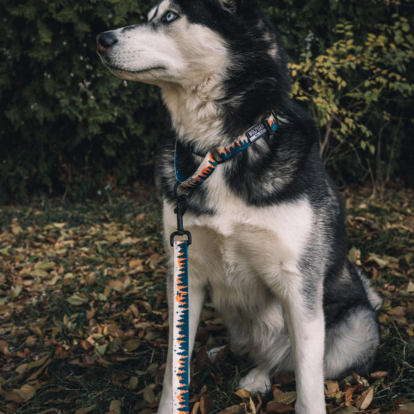 OverLand MARTINGALE DOG COLLAR