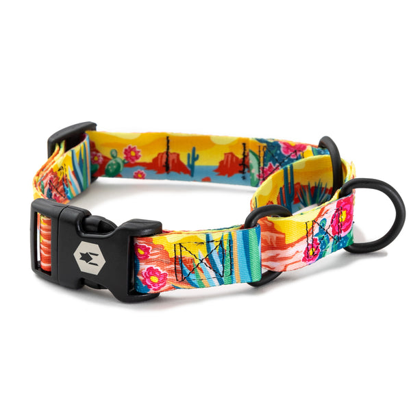 PackLeader MARTINGALE DOG COLLAR