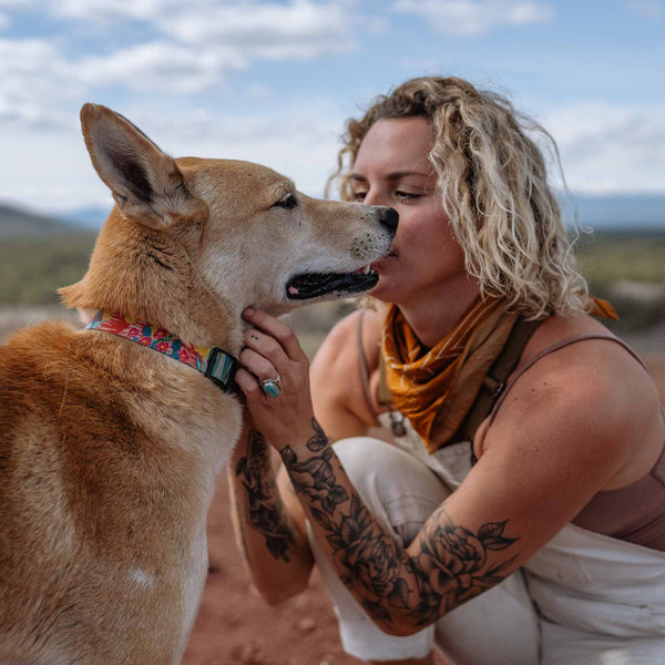 PackLeader Dog Collar