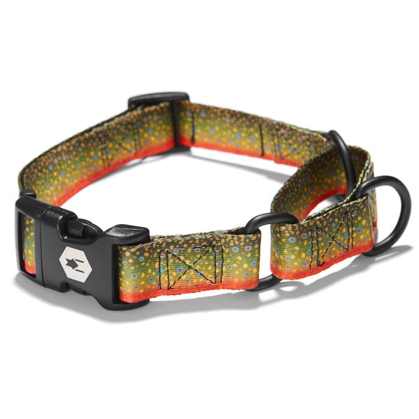 BrookTrout MARTINGALE DOG COLLAR