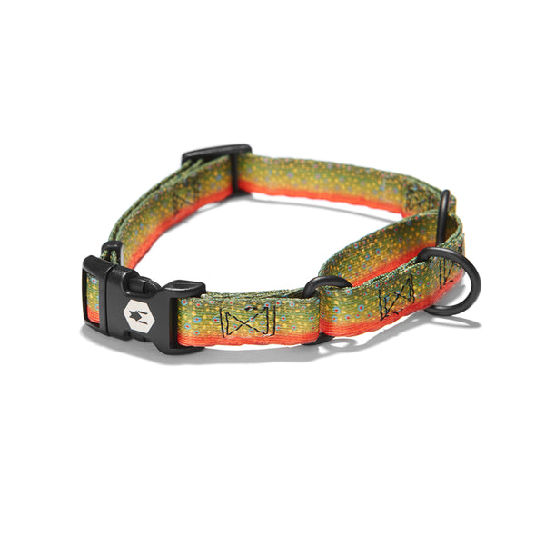 BrookTrout MARTINGALE DOG COLLAR