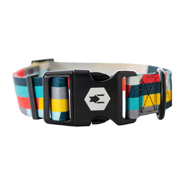 MixTape Dog Collar