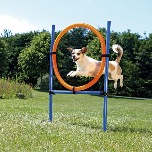 activity agility ring
