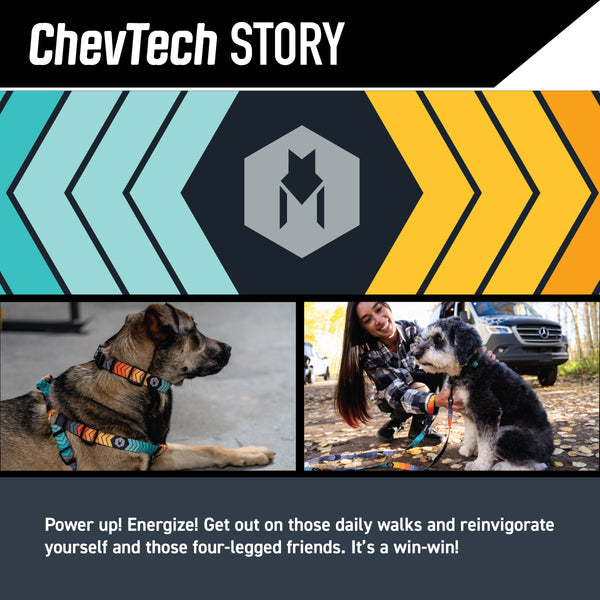 ChevTech Dog Leash