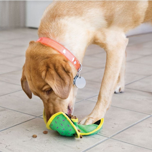 kong ballistic hide 'n treat