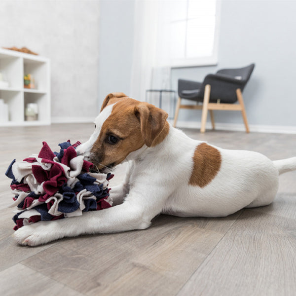 trixie activity snuffle ball