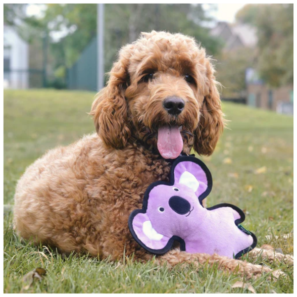 beco - recycled rough & tough - dog toy - medium - koala