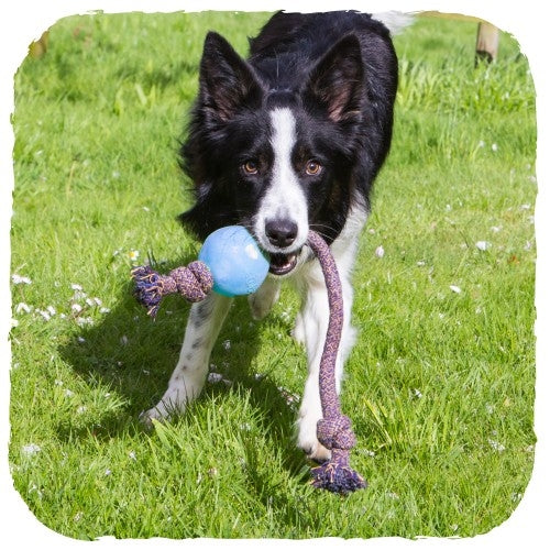 beco - ball on rope - pink