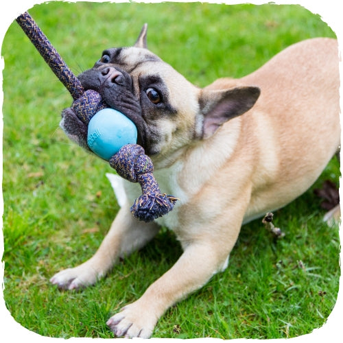 beco - ball on rope - pink