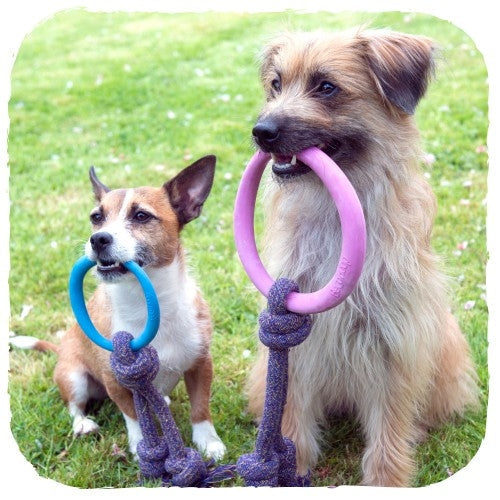 beco - hoop on rope - pink