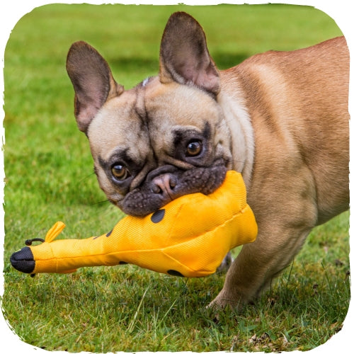 beco recycled soft dog toy - giraffe