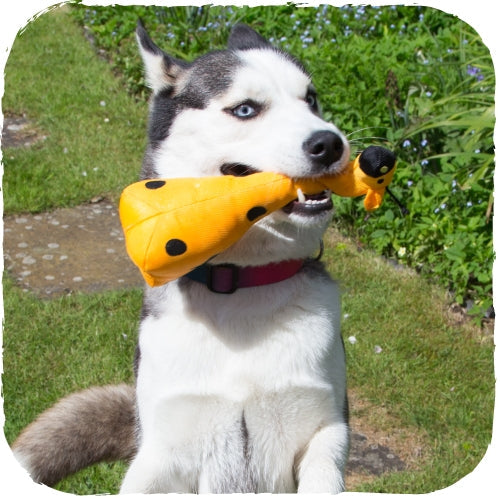beco recycled soft dog toy - giraffe