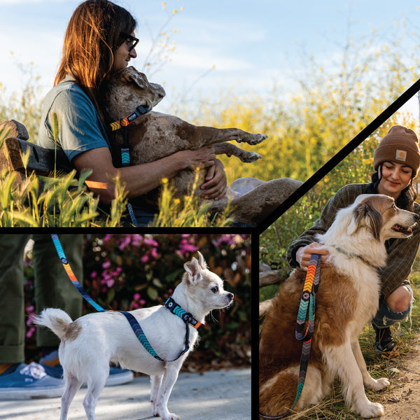 ChevTech Dog Collar