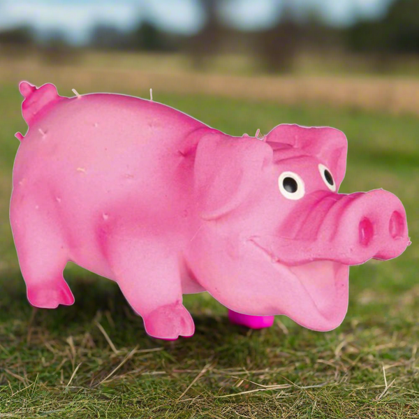 trixie latex bristle pig