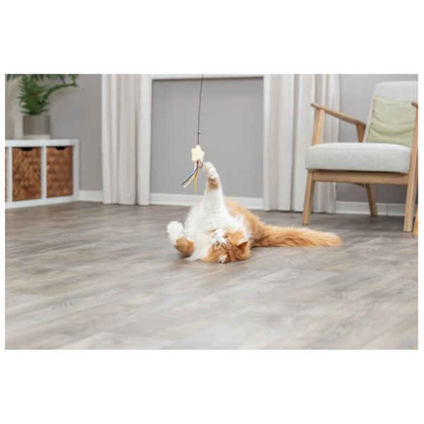 cat toy - playing rod -plush star