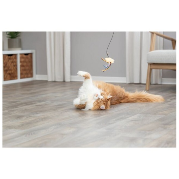 cat toy - playing rod -plush star