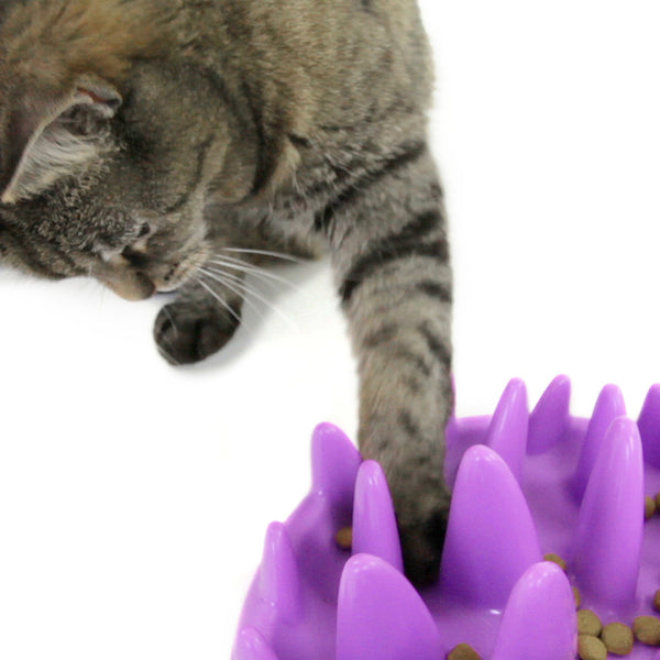 flamingo slow cat feeder