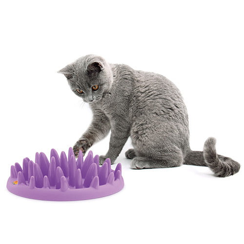 catch interactive cat feeder