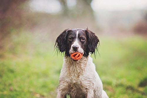 chuckit! dog toy - breathe right ball