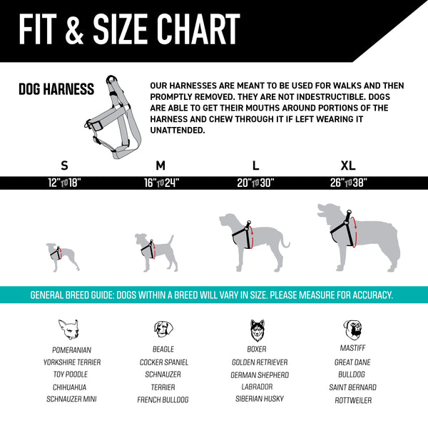 LosMuertos Dog Harness