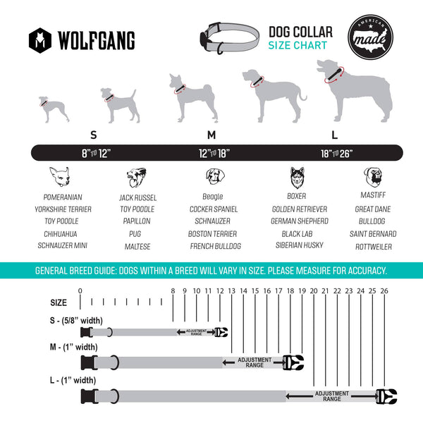 DawnPatrol Dog Collar