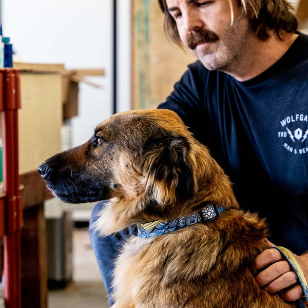 DawnPatrol Dog Collar