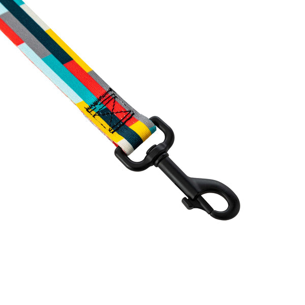 MixTape Dog Leash