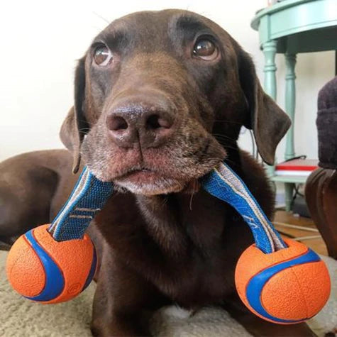 chuckit! dog toy - ultra duo tug