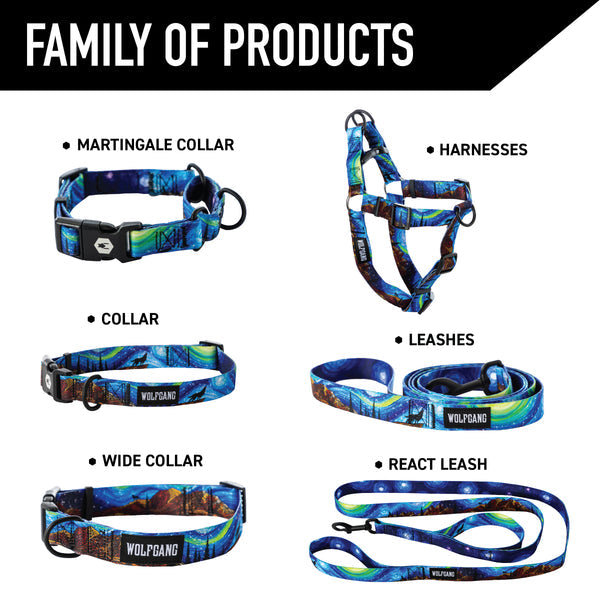 StarryWolf Dog Leash