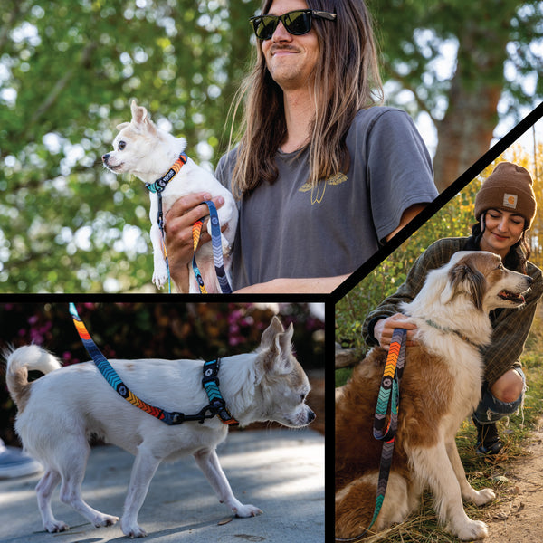 ChevTech Dog Leash