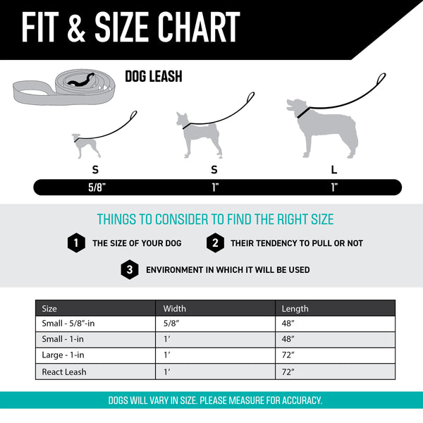 NewMoon Dog Leash