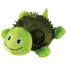 kong shells - turtle