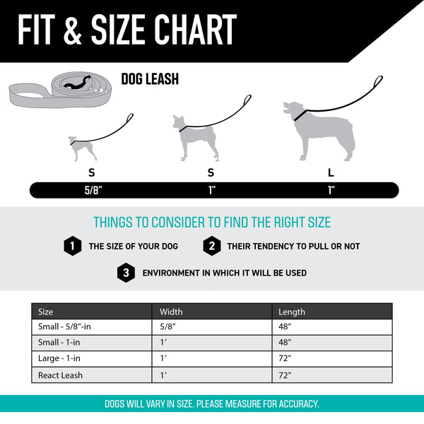 LostArt Dog Leash