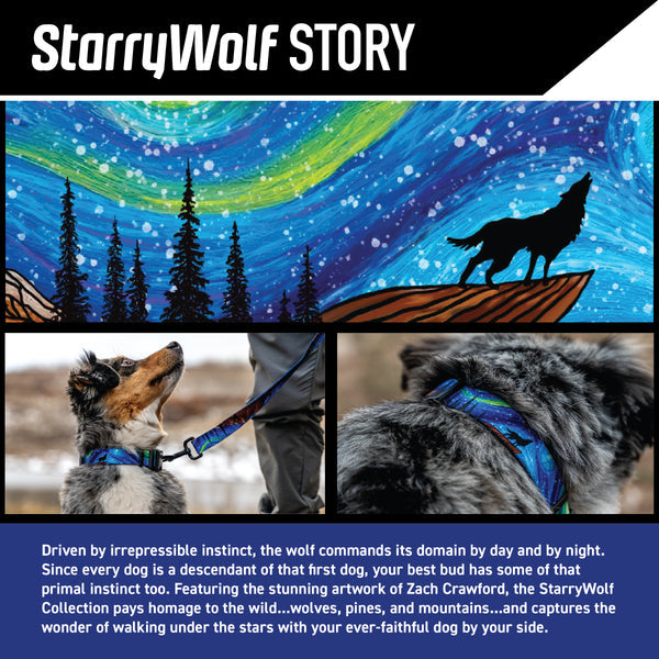 StarryWolf Dog Leash
