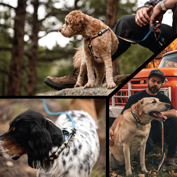 OverLand COMFORT DOG HARNESS