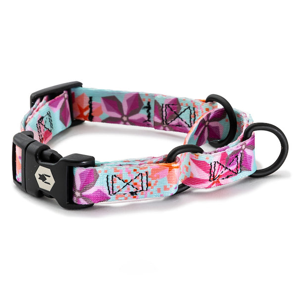 DigiFloral MARTINGALE DOG COLLAR