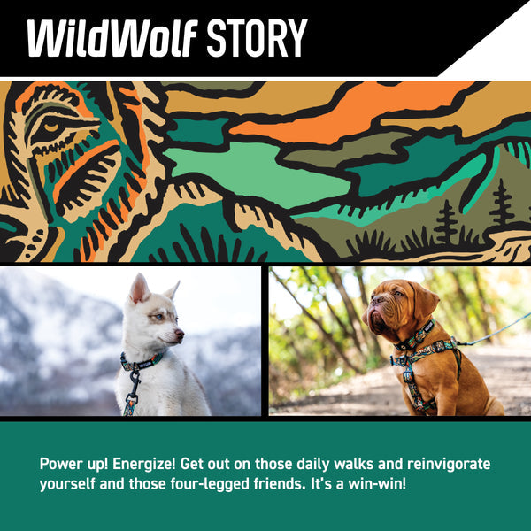 WildWolf Dog Leash