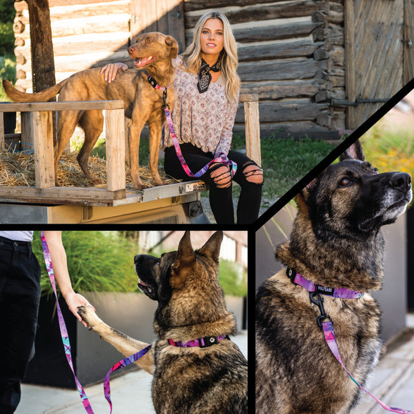 DayDream COMFORT DOG HARNESS