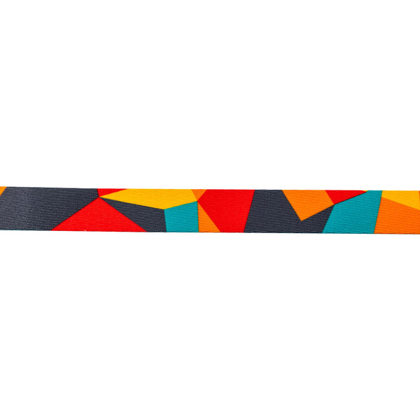 ShatterShapes DOG LEASH