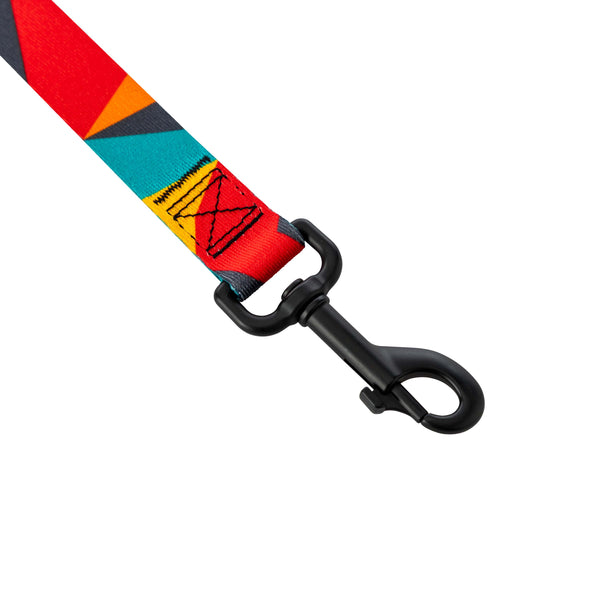 ShatterShapes DOG LEASH